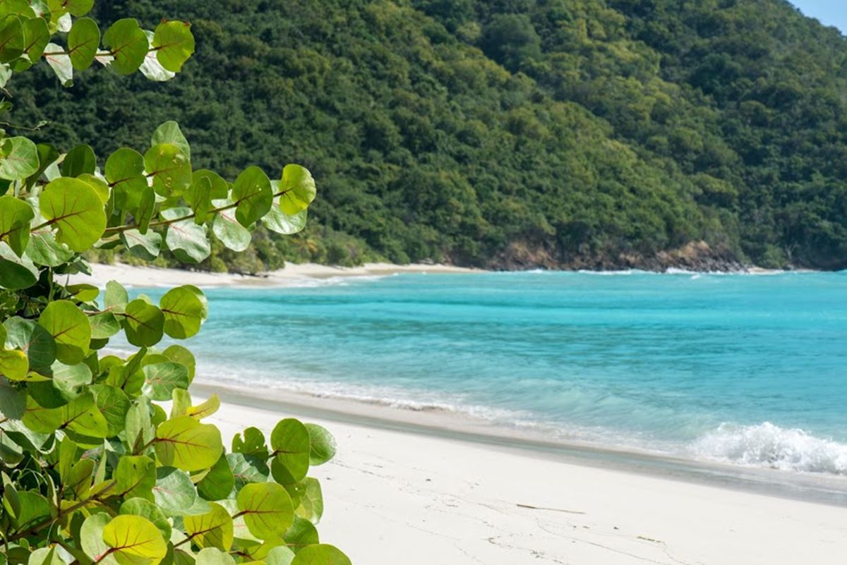 Guana’s Luxury Boutique Hotel en Guana Island